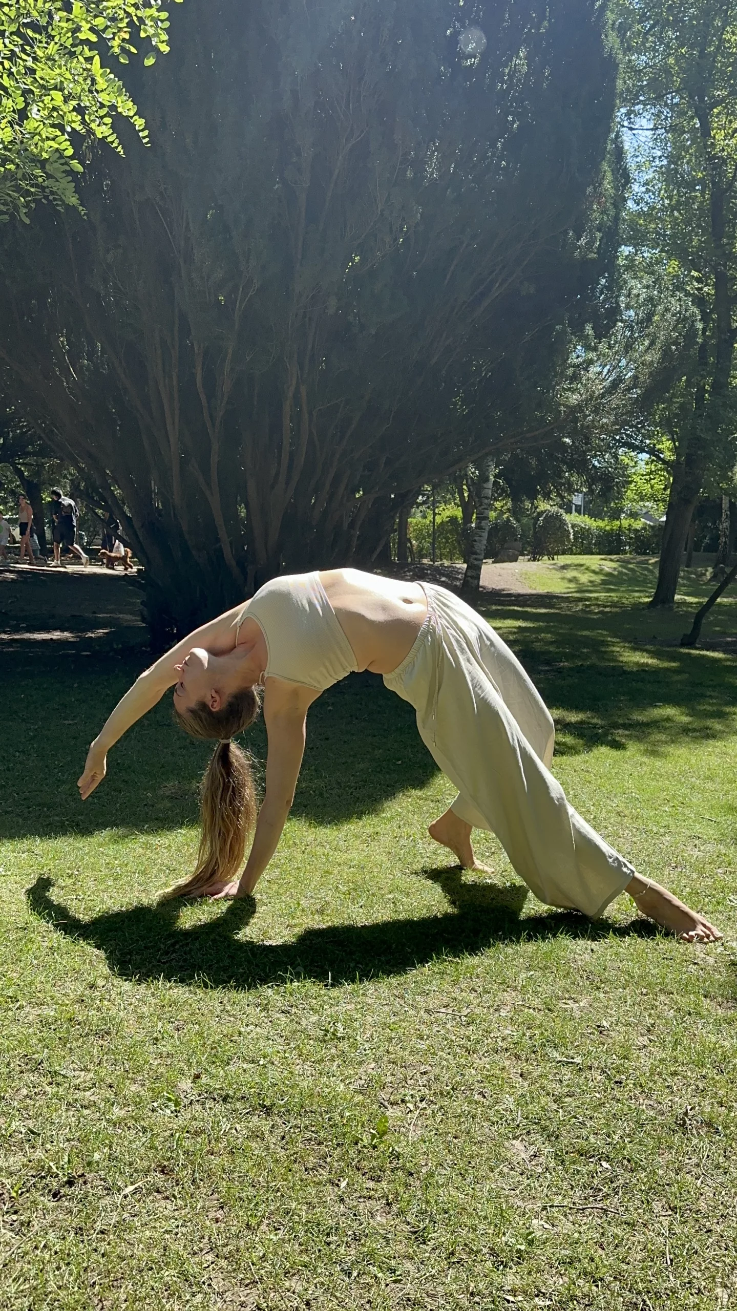 profesora yoga premia